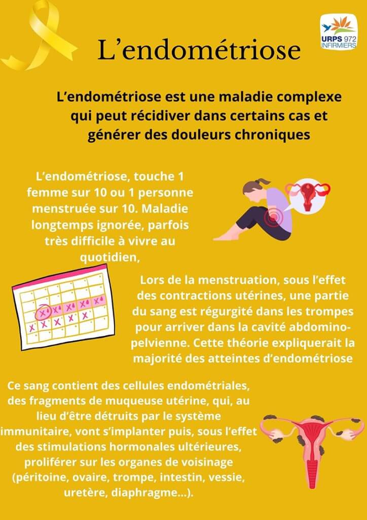 Présentation de l'endométriose